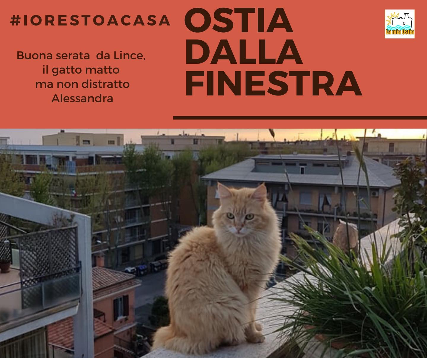 Ostia dalla finestra: mese di aprile